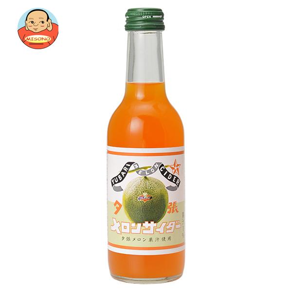 友桝飲料 夕張メロンサイダー 245ml瓶×24本入