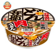 日清食品 日清のどん兵衛 肉うどんミニ 40g×12個入