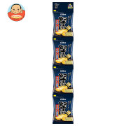 カルビー 堅あげプッチ4 うすしお味 60g×10袋入