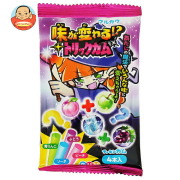 丸川製菓 味が変わる トリックガム 4本×20個入