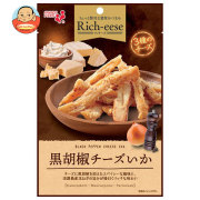 井上食品 井上食品 Rich-eese(リッチーズ) 黒胡椒チーズいか 45g×10袋入