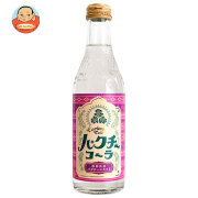 木村飲料 パクチーコーラ 240ml瓶×20本入