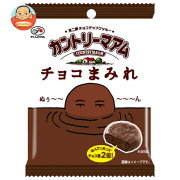 不二家 カントリーマアム チョコまみれ 48g×10袋入