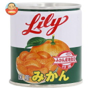 リリー　缶詰ラベルセット14種類各2枚28枚　5セット リリー缶詰めセットあすつく 送料込み商品 （北海道、沖縄は送料