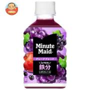 コカコーラ ミニッツメイド グレープブレンド 鉄分 280mlペットボトル×24本入