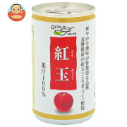 長野興農 信州 紅玉 りんごジュース 160g缶×30本入