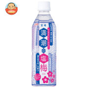 サンA 満潮の塩梅 490mlペットボトル×24本入