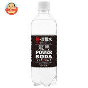 日本ビール 龍馬パワーソーダ 500mlペットボトル×24本入