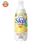 【賞味期限2026.09.04】南日本酪農協同 スコール 和梨 500mlペットボトル×24本入