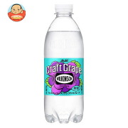 アサヒ飲料 ウィルキンソン タンサン クラフトグレープ 500mlペットボトル×24本入