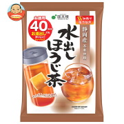 国太楼 水出しほうじ茶ティーバッグ50P 120g(40p)×12袋入