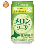 伊藤園 ニッポンエール 北海道産らいでんメロンソーダ 350ml缶×24本入