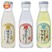友桝飲料 湯あがり堂 お試しアソートセット48本セット(サイダー、蜂蜜れもん、サウナ各16本) (95ml瓶×48本)×1箱入