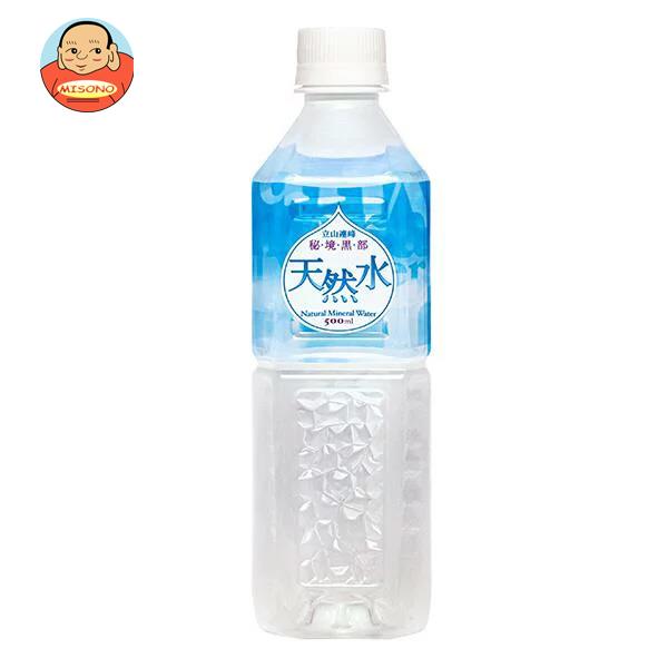 日本薬剤 秘境黒部 天然水 500mlペットボトル×24本入