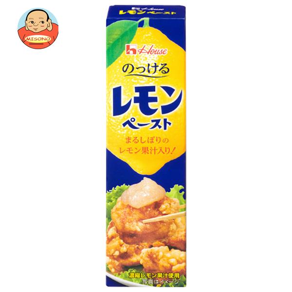 ハウス食品 レモンペースト 40g×10本入
