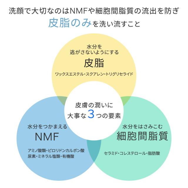 バリアプロテクト ウォッシングフォーム<泡タイプ洗顔料> 380mL/常在菌