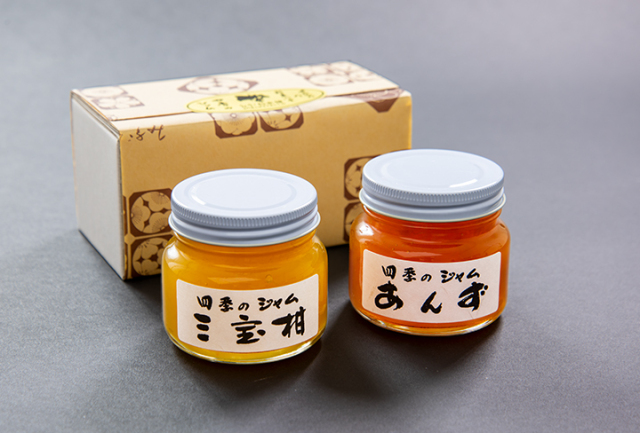 夏ギフト　小瓶２本　三宝　あんず