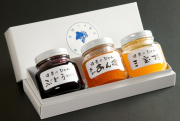 冬ギフト　中瓶３本　ぶどう　あんず　三宝