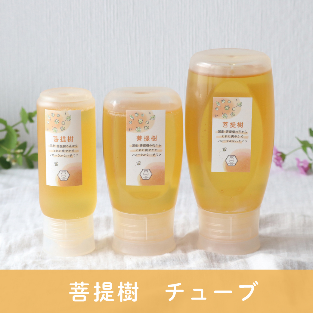 菩提樹 サムネ 2026年7月