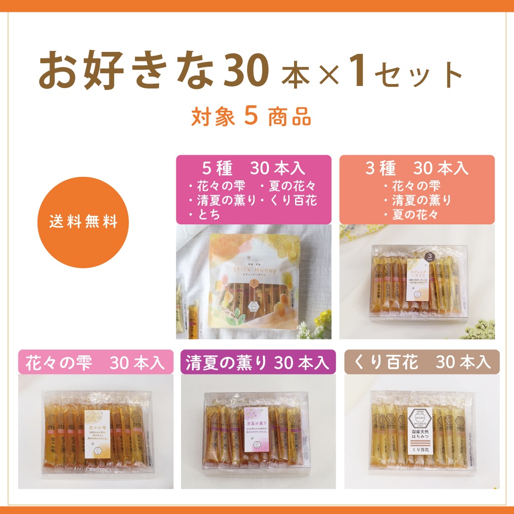 【はっち】600ｇ蜂蜜６本　　同梱発送 販売終了】【送料無料】スティックハチミツ 30本入 単品(全5種類