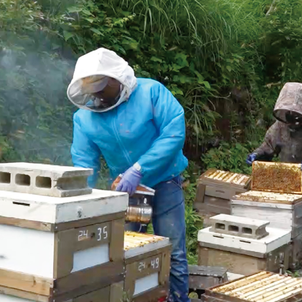 大容量CP_2025年8月