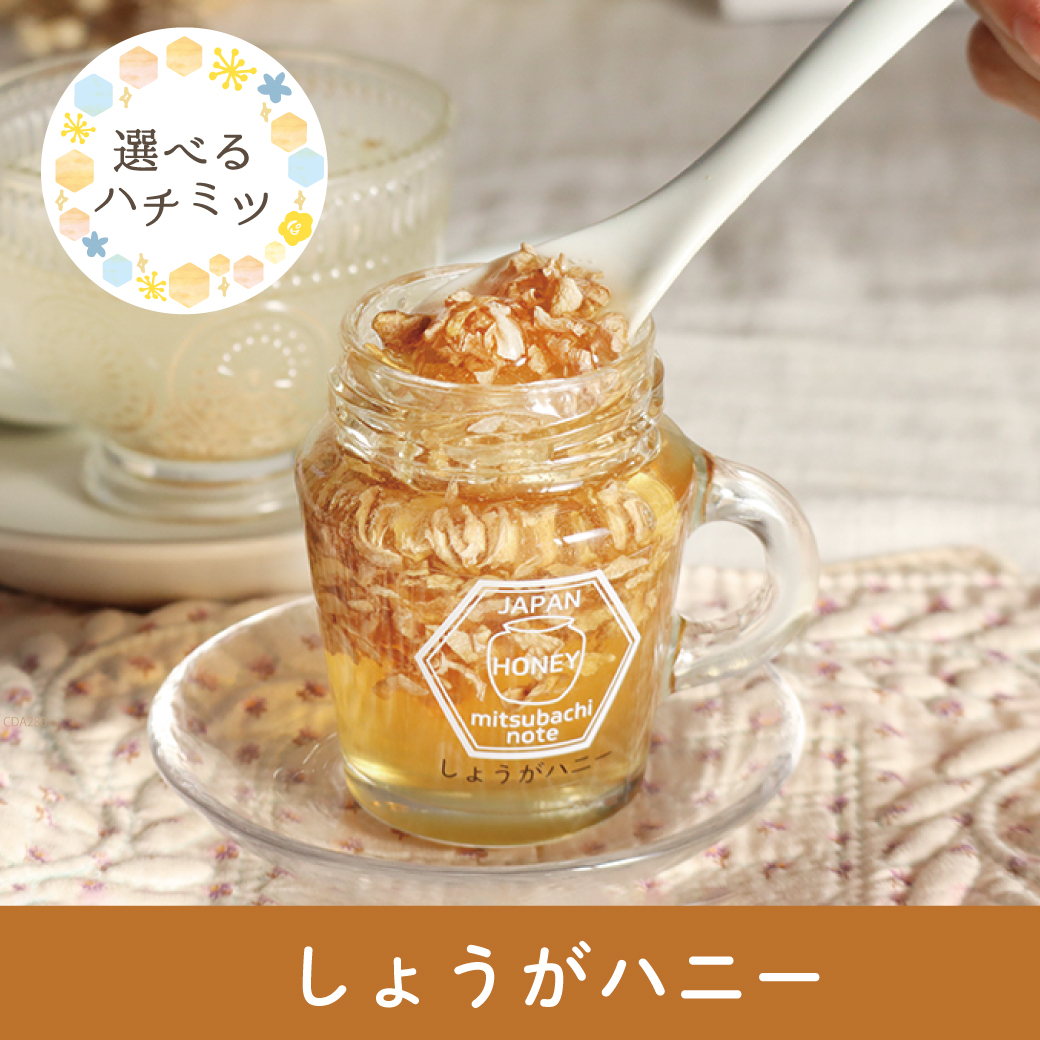 はちみつはにー様 オーダーページ 期間限定】しょうがハニー みつばちのーと