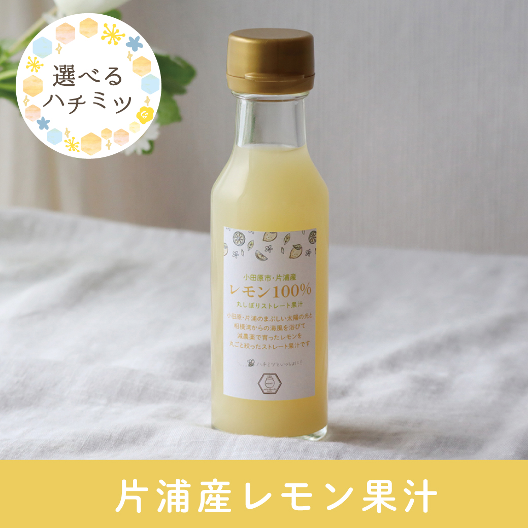 小田原市・片浦産 レモン100%果汁 みつばちのーと