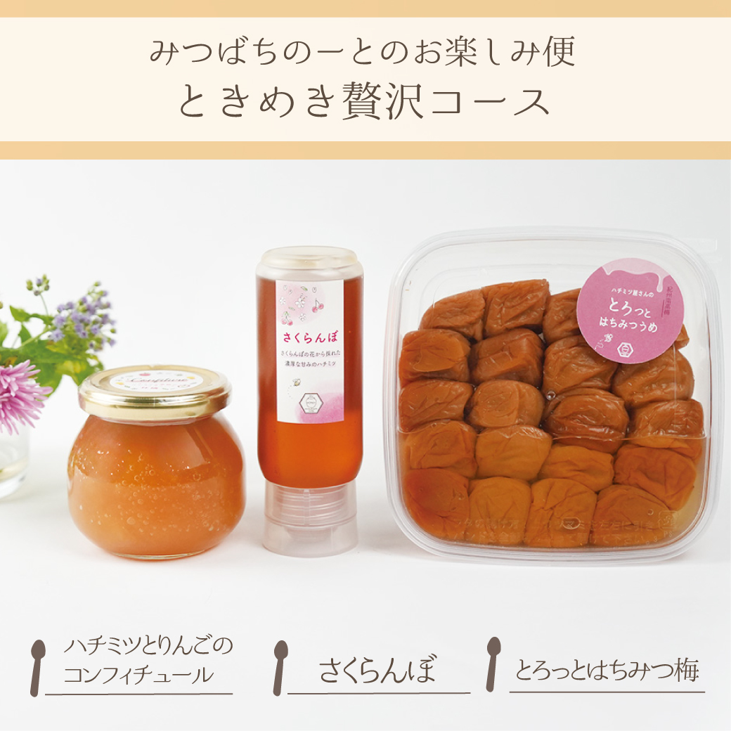 みっちょ　【mix】大潰れはちみつ梅3と激紫蘇甘1とはち5 61aebWRfzZL.jpg