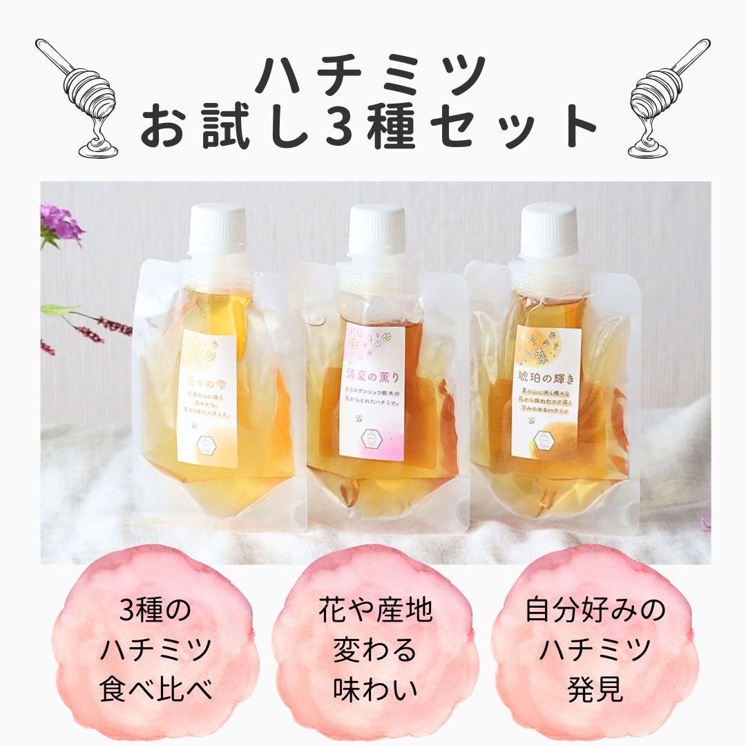 パウチ　ハチミツ3種セット