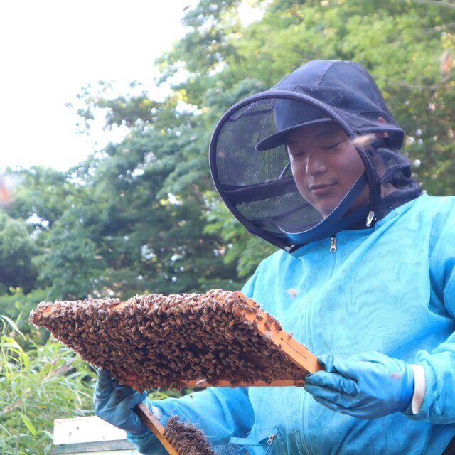 みかんの雫 パウチ定期便 2023年