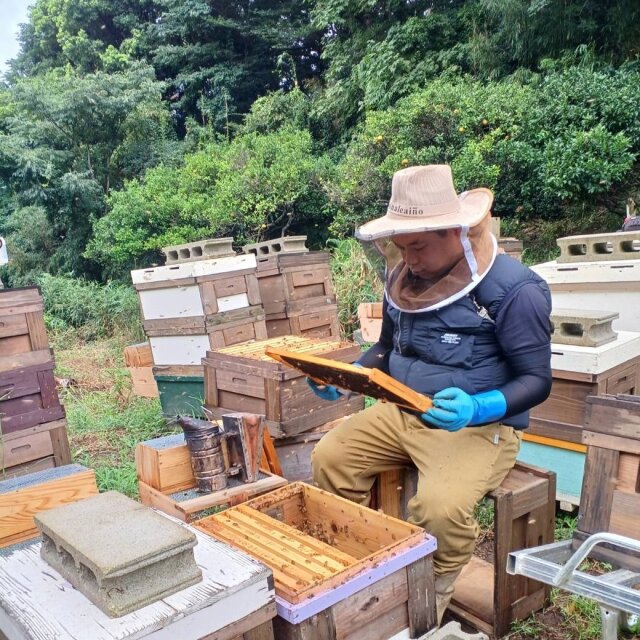 清夏の薫り　2023年産　養蜂