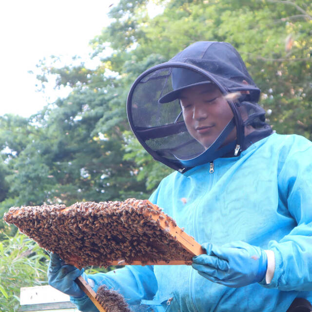 田中章雄　みつばちのーと代表