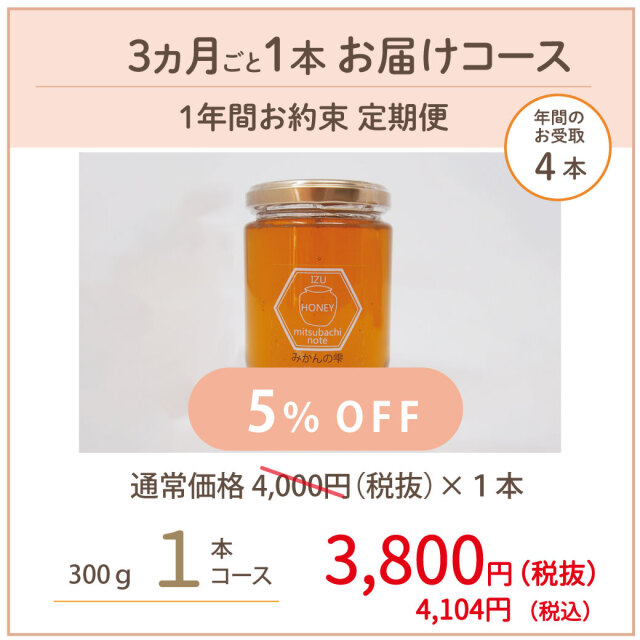 みかん 定期便 202506