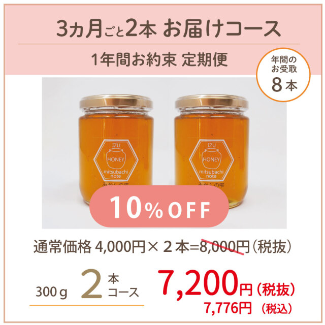 みかん 定期便 202506