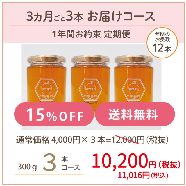 みかん 定期便 202506