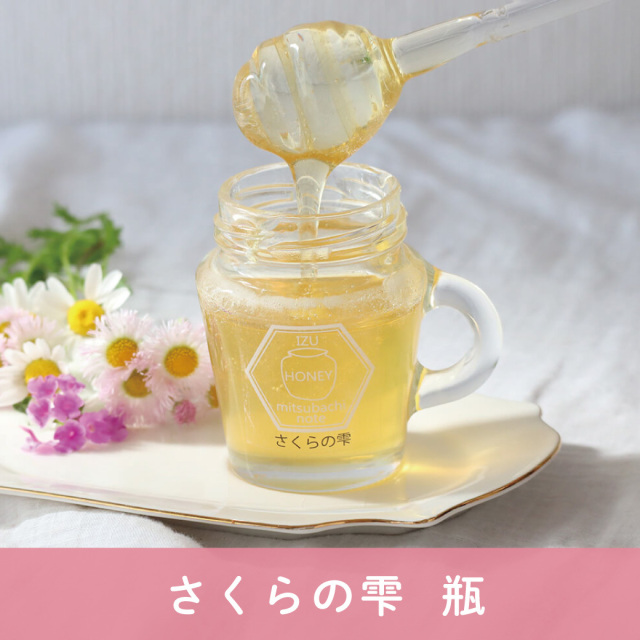 さくらの雫 2025年1月