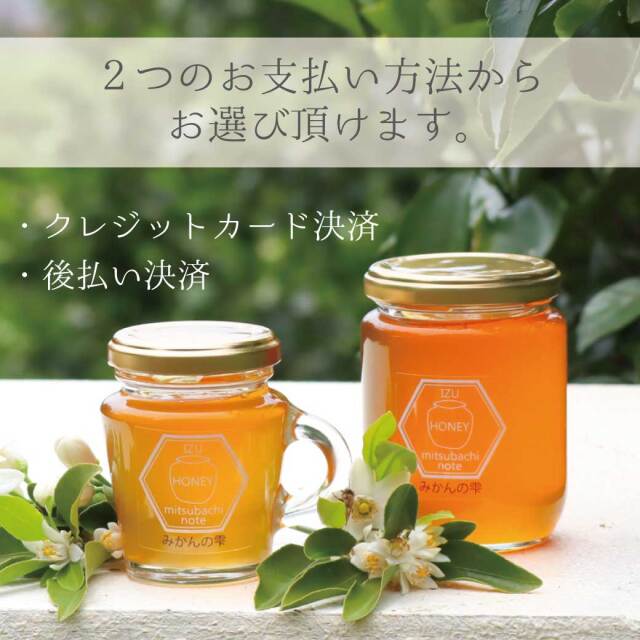 みかん 定期便 202506