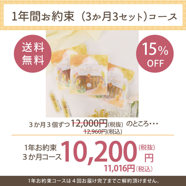 5種スティック　定期便