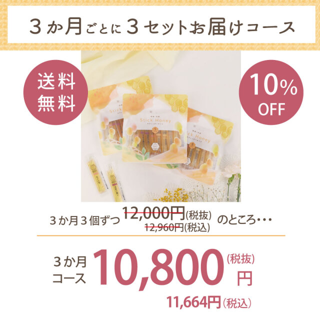 5種スティック　定期便
