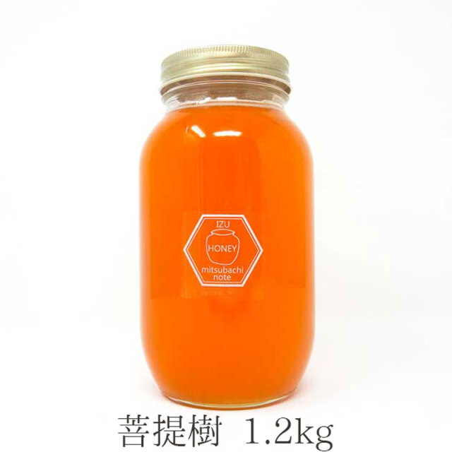 菩提樹