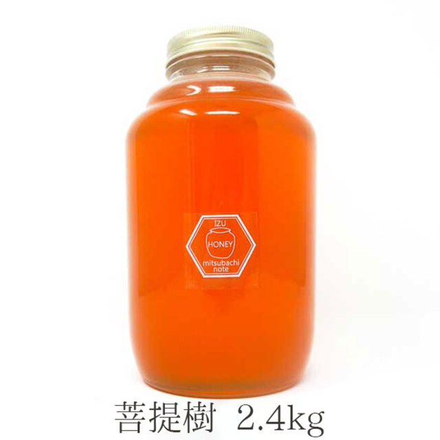 菩提樹