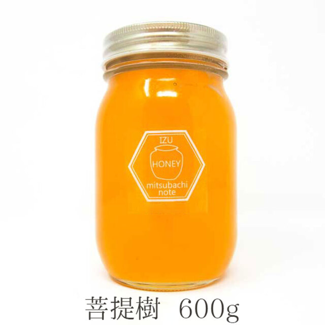 菩提樹