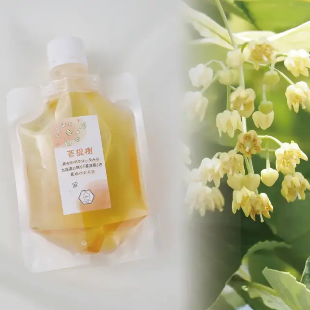 菩提樹パウチ
