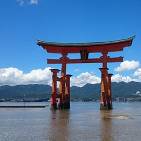 宮島 初夏の花々