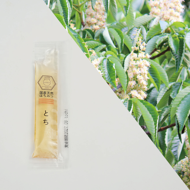 スティック とち 味