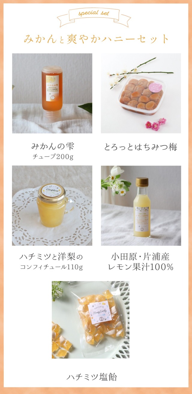 売れ筋介護用品も！ 数量限定】みかんと爽やかハニーセット みつばちのーと スリッパラック・玄関収納
