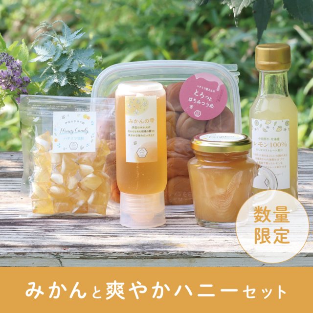 【数量限定】みかんと爽やかハニーセット