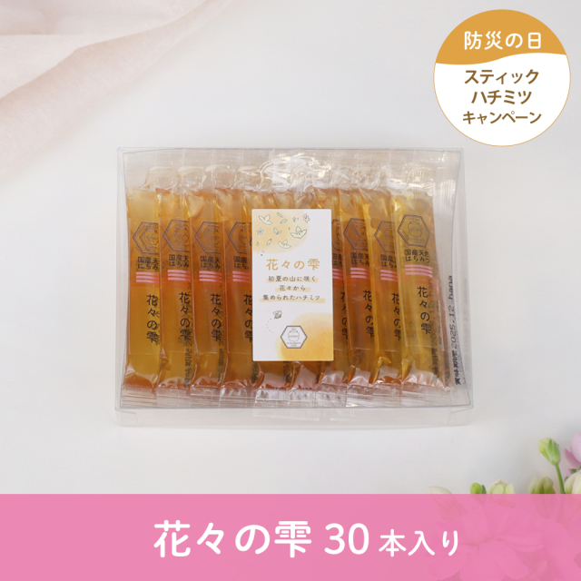 スティック防災CP