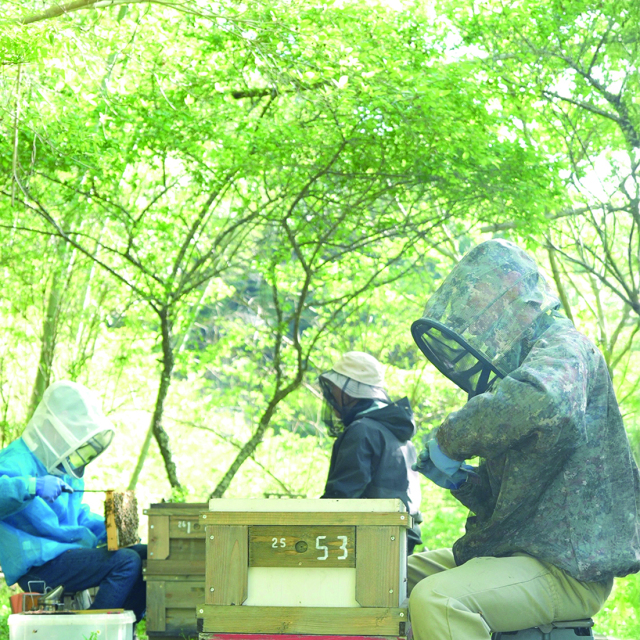 みかんの雫