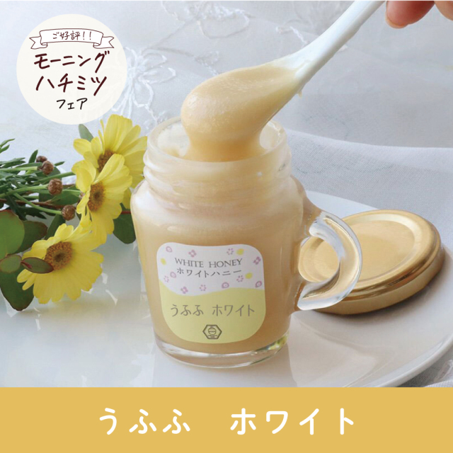 モーニングハチミツ_サムネ